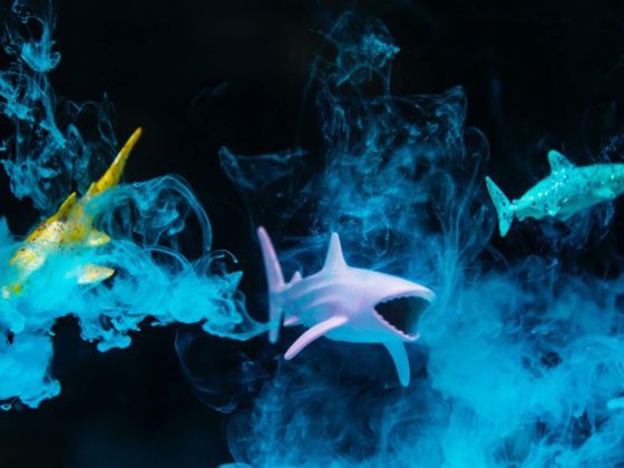 koniec instabreakast