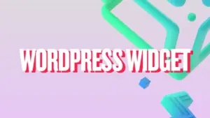 WordPress Widget