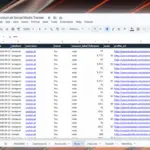 thumbnail evolumsk social media tracker